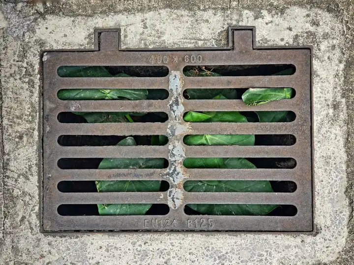 Trenchless Sewer Pros — your local sewer line repair team